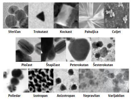 Slika 2. Različiti oblici sintetiziranih nanočestica srebra (preuzeto i modificirano prema Srikar i sur. 2016