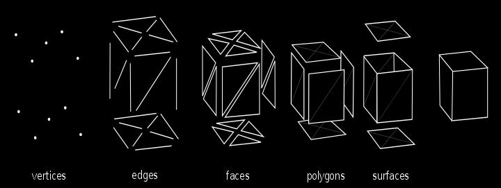 1.3. Poligonska Mreža U 3D Računalnoj grafici i modeliranju poligonska mreža je skup točaka(vertices), rubova(edges) i