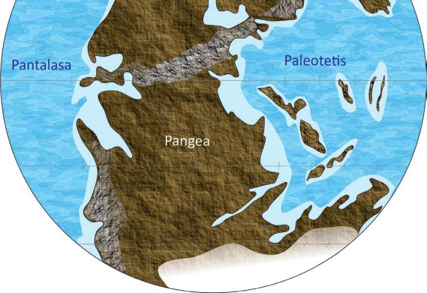 Glavna paleogeografska odlika permske periode je postojanje superkontinenta Pangee, okruženog ogromnim Pantalasa okeanom.