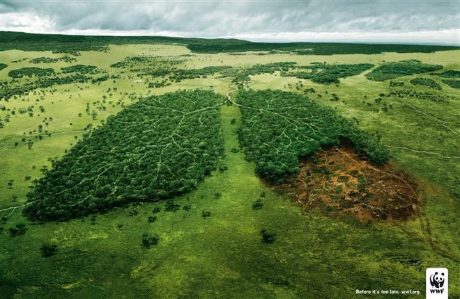 Plakati koji prate ekološku problematiku.
