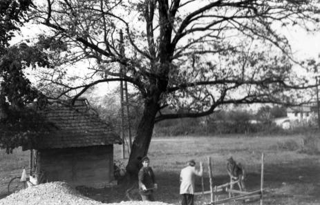 Gradilo se užurbano i složno Pastoralna je potreba doista zahtijevala, kako smo maloprije mogli pročitati, da se na području Donje Tramošnice osnuje nova župa.