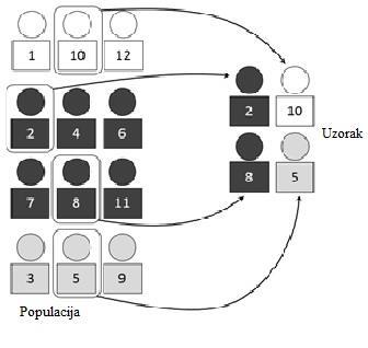 Slika 4. Stratificirani uzorak [2] 3.4. Uzorak skupina Uzorak skupina koristi se u slučajevima kada ne postoji cijela lista svih jedinica osnovnog skupa koja bi služila kao osnova za formiranje uzorka.