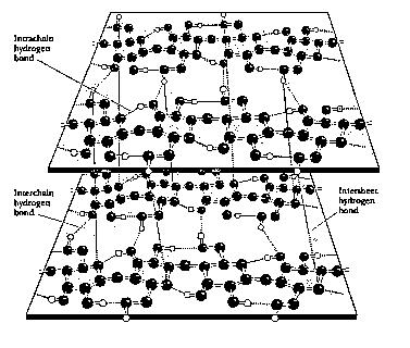 2. TEORIJSKI DIO zbog linearnog strukturnog karaktera. Zajedno, celulozni lanci (20-300) 