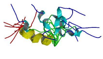 Slika 7. NMR Struktura teriparatida (preuzeto iz reference 179).