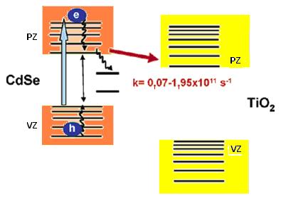 sa CdSe na optički transparentnoj elektrodi (OTE) (Robel i dr., 2006) Slika 8. Deaktivacija ekscitovanih elektrona iz p- i s-stanja u CdS (Robel i dr.