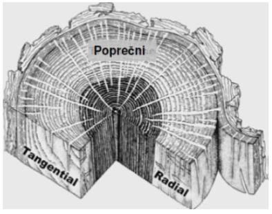 2.1. Makrostruktura i mikrostruktura drva Svako stablo se sastoji od tri dijela: korijena, debla, krošnje.
