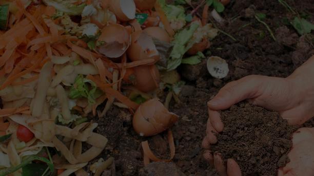 Materijali koji spadaju u kompost jesu: Trava, korovi koji nema sjemena, dijelovi biljaka koji se ne mogu iskoristiti; ostatci od povrća i voća; suho lišće (osim lišća od oraha) i granje, kora