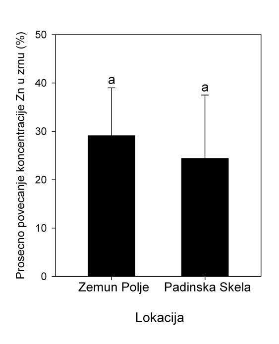 Grafik 10.Prosečno povećanja koncentracije cinka u zrnu folijarnom primenom cinka ozime hlebne pšenice gajene na dve lokacije.