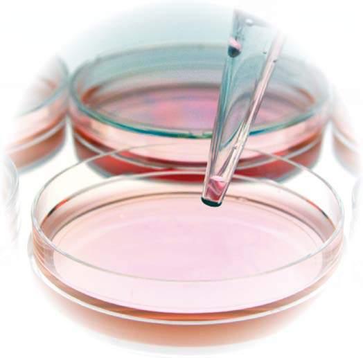 Najkvalitetnija oprema za laboratorije Sektor prodaje potrošnog materijala i opreme za mikro biološke, genetske i molekularno biote hno loške laboratorije