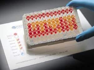 aplikacije, PCR reagense i PCR potrošni materijal. Na raspolaganju su i PCR kitovi za detekciju patogena u prehrambenoj industriji i molekularnoj dijagnostici.