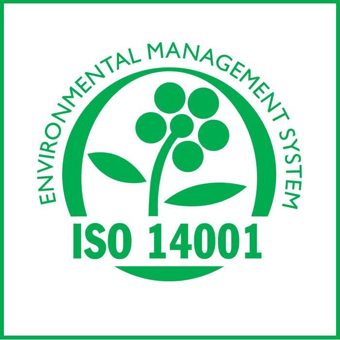 Koristi od ISO 14 001 su brojne, ali najznačajnije prednosti koje se mogu postići su provođenje poboljšanja i učinkovit nadzor te mjerenja učinka na okoliš, ostvarenje smanjenja zagađenja, stvaranja