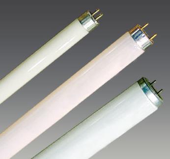 Fluorescentna sijalica mora imati prigušnicu koja ograničava protok struje kroz sijalicu. Prigušnica se opisuje kao balast i nalazi se u svim fluorescentnim sijalicama.