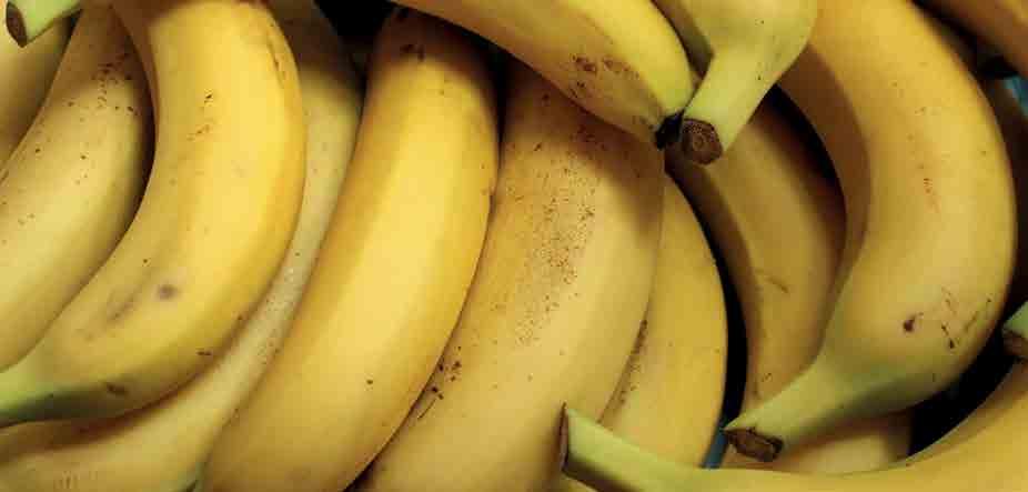 To pokazuju i podaci o poslovanju proizvođača ovog voća. Prema brojkama iz 2016. proizvodnja banana je na globalnom nivou generisala prihode od osam milijardi dolara godišnje.