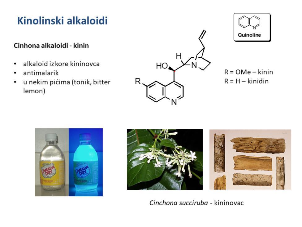 Zanimljiv primjer kinolinskog alkaloida je kinin koji je bio prvi antimalarik. Danas se dodaje u pića (tonik) zbog specifičnog gorkastog okusa.