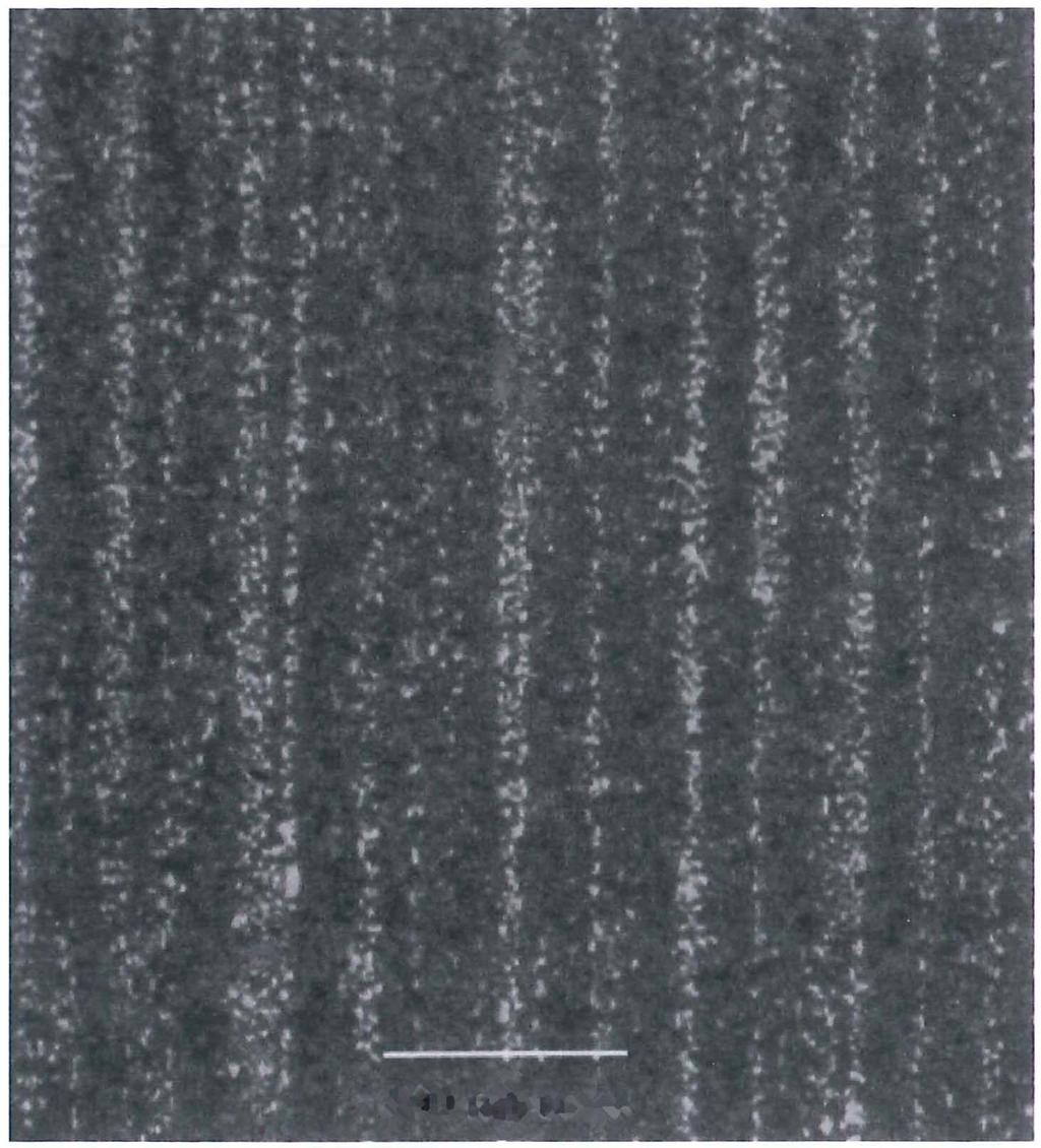 Slika 8 Reproducirana oštrica sa specifičnim "Muhamedovim uzorkom" Tehnika je, u svojoj srži, jednostavna reprodukcija opće metode opisane od strane ranijih istraživača15 Mali čelični odljevak