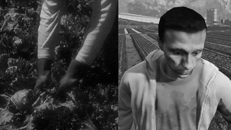 017 Cosecha Mecánica Felix Klee digital, 3 18, 2020, Germany The 1950s US propaganda film Why braceros?
