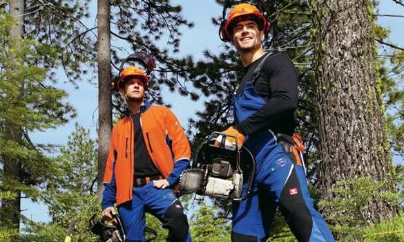 Pri radu u kruni dubećeg stabla, kao što je kresanje ili seča grana i branje šumskog semena primenjuju se propisane mere za bezbedan rad radnika na visini.