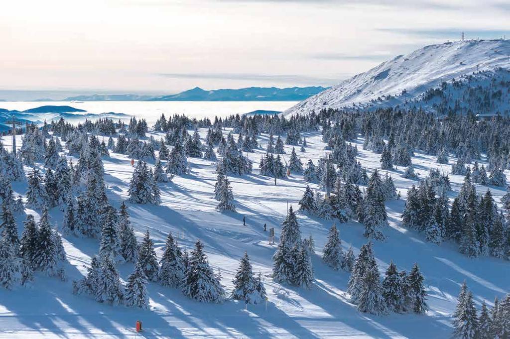 Lokacija koja inspiriše Inspirational location Kopaonik znači uživanje između neba i zemlje. To su prizori od kojih zastaje dah i kad je prekriven bisernim snegom i kad je pod beskrajnim zelenilom.
