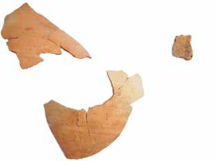 Fragments of thin-sided bowls (Excavation documentation archives, Novigrad na Dobri).