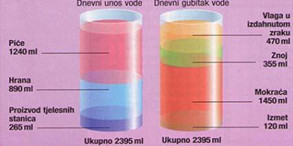 2. OSNOVNO O VODI I UTJECAJU NA ZDRAVLJE 2.1. Voda - osnovna svojstva Voda je tekućina bez boje, okusa i mirisa čija ph vrijednost varira od 6,5-8.