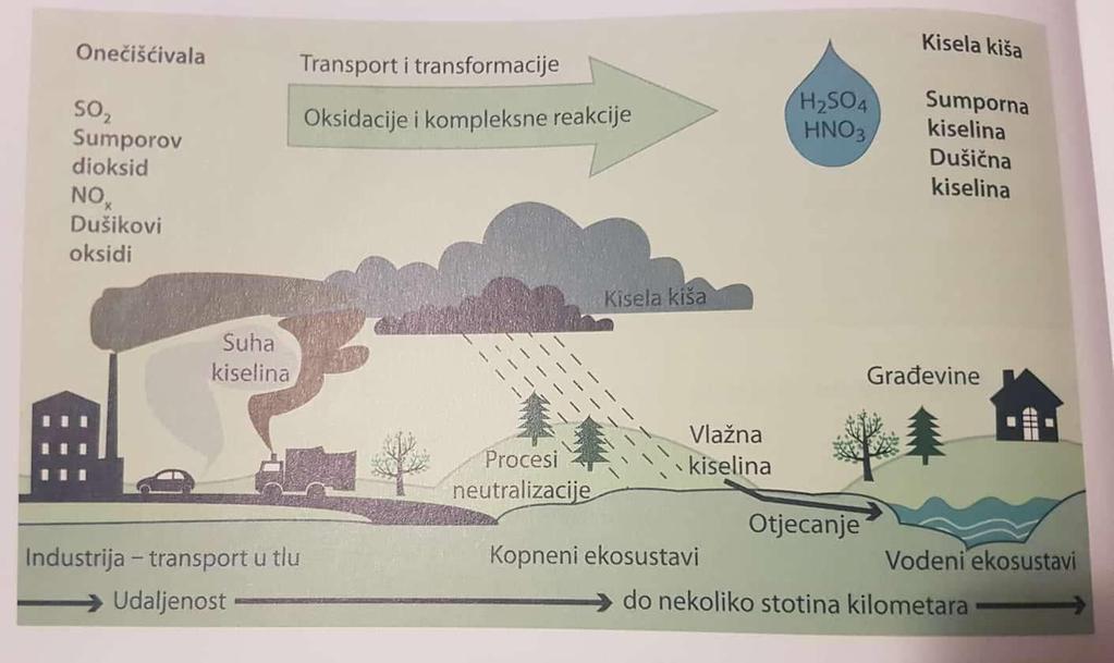 Slika 7. Nastanak kiselih kiša i njihov utjecaj na ekosustav. Izvor: Herceg, N., Okoliš i održivi razvoj, Sarajevo, 2013.