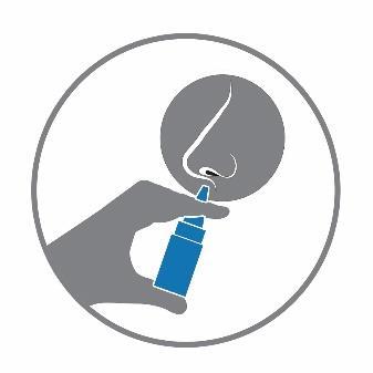 Vrh pumpice sa aplikatorom za nos treba staviti u nozdrvu, zatim jedanput kratko i snažno pritisnuti na pumpicu (Slika 2). U trenutku raspršivanja treba lagano udahnuti kroz nos.