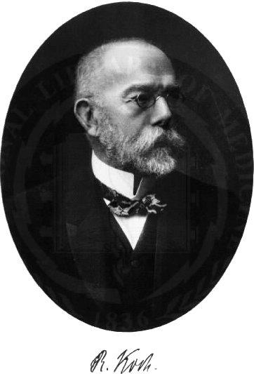 Хајнрих Херман Роберт Кох (њем. Heinrich Hermann Robert Koch) (11.12.1843-27.05.1910) је био љекар и микробиолог. Добитник је Нобелове награде за медицину и физиологију 1905.