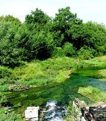 Europsko tr i{te je zahtjevno, bogati stranci otkrivaju nove destinacije i lovi{ta, za njih se osim klasi~nog lova, primjerice, organizira i»traperski«lov za koji u nas nema uvjeta ka e Tomai}.