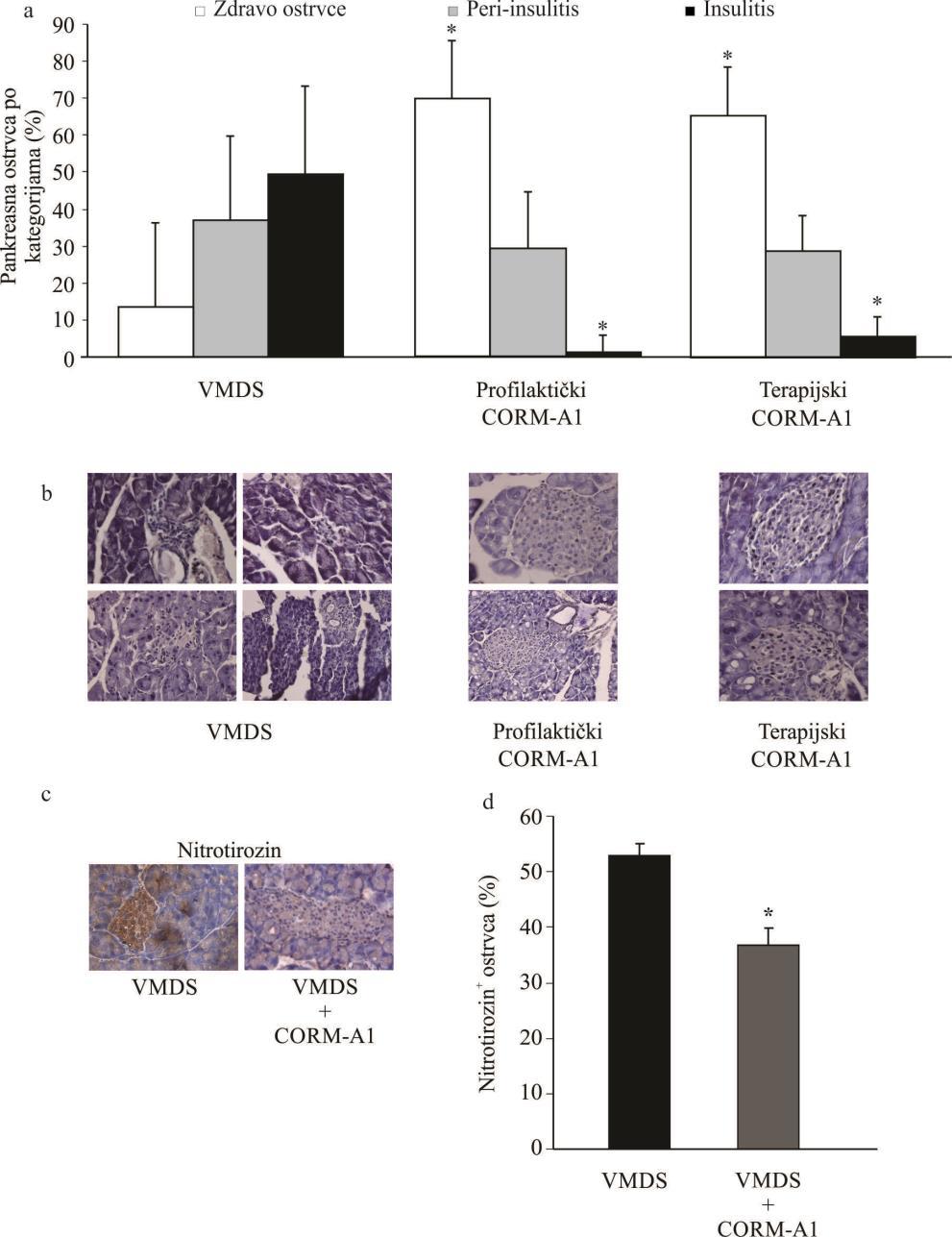 Slika 8. Efekat CORM-A1 na razvoj insulitisa. a) Prisustvo infiltriranih ćelija detektovano je bojenjem hematoksilinom na parafinskim presecima pankreasa 49. dana od indukcije bolesti.