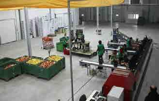 Potrebe u oblasti poljoprivrede : Hladnjača za skladištenje voća i povrća -kapaciteta: 25.000-30.