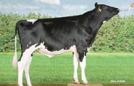, zdravlje vimena (113), noge i papci (108),lagana teljenja (105), odlična plodnost kćeri(108), lagano se tele (112) vrlo efikasne +12, te zdrave +10 i dugovječne krave.