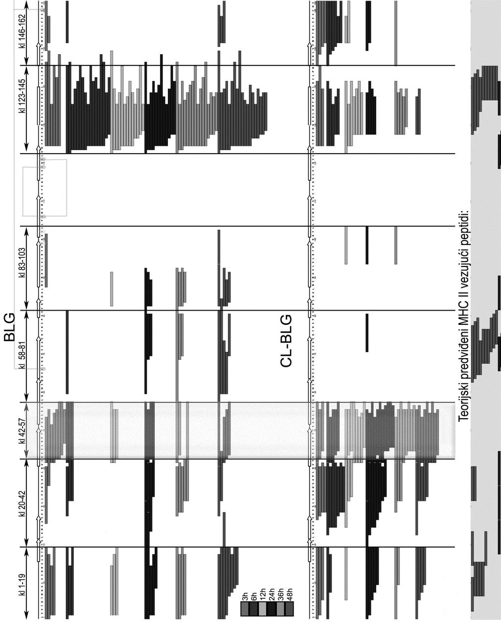 Slika 6.8. Mapa peptida oslobođenih za vreme 3-48h endolizozomalne digestije BLG i CL- BLG-a.