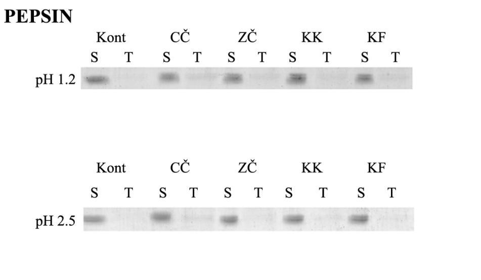 5 ekstrakt crnog čaja je pokazao najveći precipitirajući efekat (Slika 4.4). Slika 4.4. Uticaj dodatka polifenolnih ekstrakata na precipitaciju BLG-a i pepsina na ph 1.2 i 2.5. Kont- protein bez polifenola, CČ- crni čaj, ZČ- zeleni čaj, KF- kafa, KK- kakao.