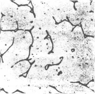 2.4 SIGMA FAZA I DELTA FERIT Prisutnost ferita u strukturi zavarenog spoja u osnovi zavisi od sastava osnovnog i dodatnog materijala. Na slici 2.