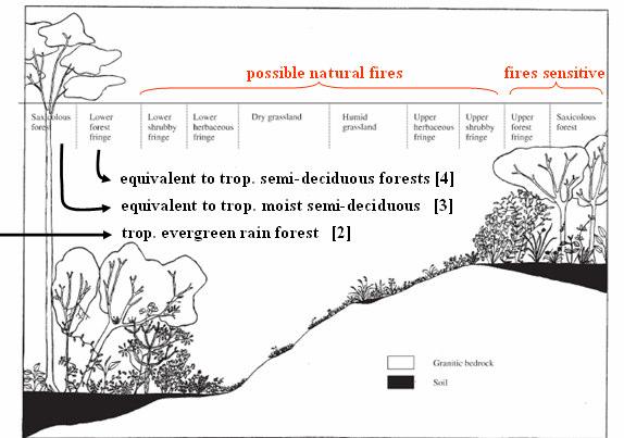 mogući prirodni požari osetljivost na požare saksikolna šuma donja granica šume donja granica žbunova donja granica zeljaste veg.