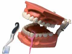 na slici) 1 Četkica za zube model V-Trim 1 Putna četkica za zube 1 Interdentalni konac (25 m) 1 Pješćani sat (2 minute) NEW 51 390110 Set za pacijenta 50 kn+pdv 1 Igla za zatezanje konca 1