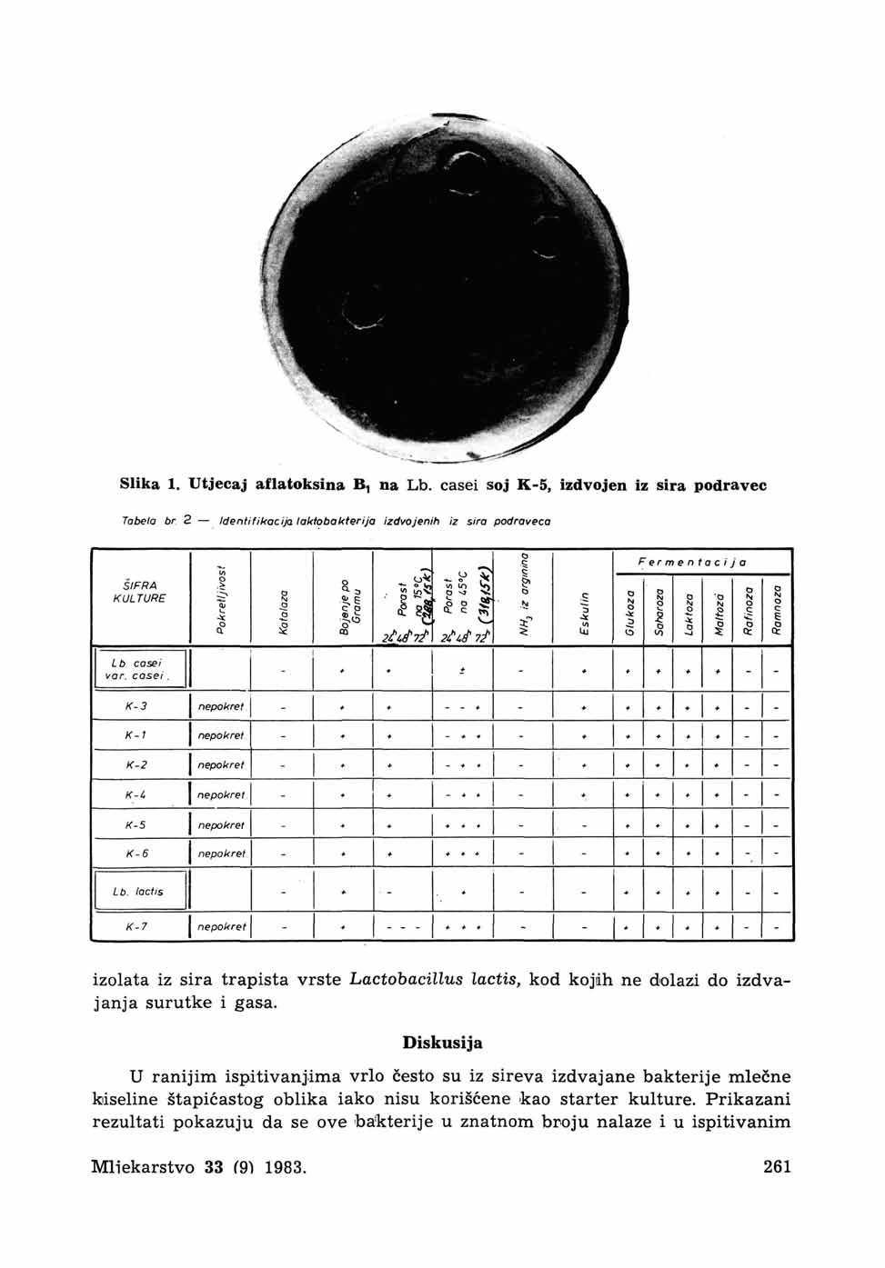 Slika. Utjeaj aflatksina B, na Lb. asei sj K-5, izdvjen iz sira pdrave Tabela br 2 Identifikaija laktbakferija izdvjenih iz sira pdravea ŠIFRA KULTURE Lb asei var. asei. Je U) I ^ CL 5; 2^i^ 7/ Fermentaija 5 ' * * - * * f ^!