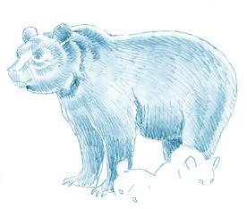 Senčenje medveda Dovršite konture crteža i potamnite nabore na stomaku medveda. 2.