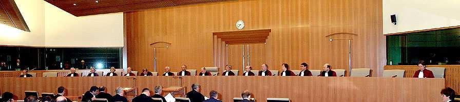 Evropski sud pravde- European Court