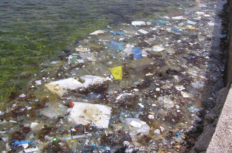 3.2. Slučajevi Zelenog telefona Plastični otpad na pulskom kupalištu U mjesecu lipnju su ogromne količine plastičnog otpada preplavile kupalište Stoja u Puli.