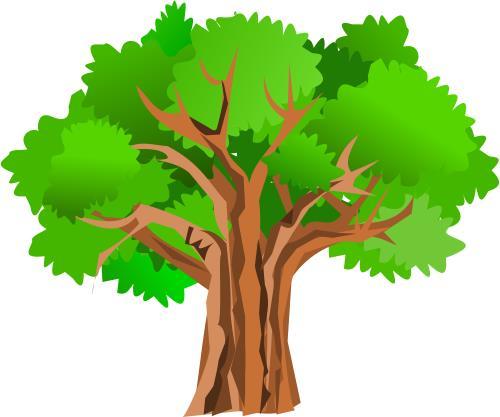 Svjetski dan šuma: POSADIMO DRVORED Zanimljiv je izračun broja stabala koje treba posaditi za apsorpciju ugljičnog dioksida koji ispušta prosječni automobil tijekom jedne godine.