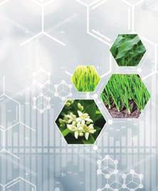 Sadržaj: 1 l Herbicid Inkapsulirana suspenzija (CS) je herbicid namijenjen suzbijanju jednogodišnjih uskolisnih korova i smanjenju zakorovljenosti jednogodišnjim širokolisnim korovima u voćarstvu,