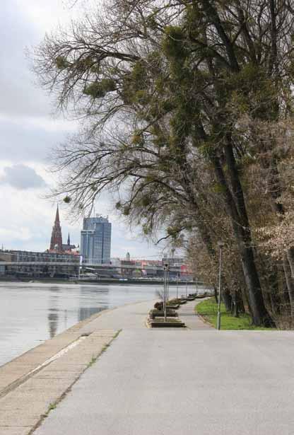 događaji Tekst/foto: Goran Vincenc Šumarski institut Svečano otvorena sjemenska štedionica Prema zakonu o šumskom reprodukcijskom materijalu i propisanim regulativama EU-a, nadležnost za kontrolu