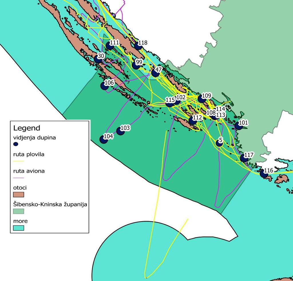 Slika 4. Kartografski prikaz ruta prijeđenih brodom i zrakoplovom, te mjesta viđenja dupina Koristeći metodu ponovnog viđenja pojedine jedinke (capture-recapture) odredili smo broj dupina.