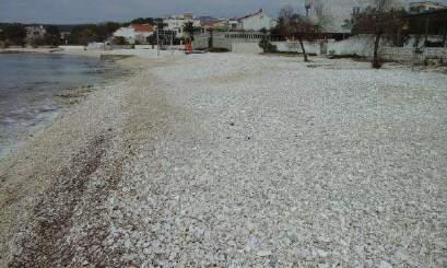 pijeska i bogate kolonije Oceanice Posidonie.