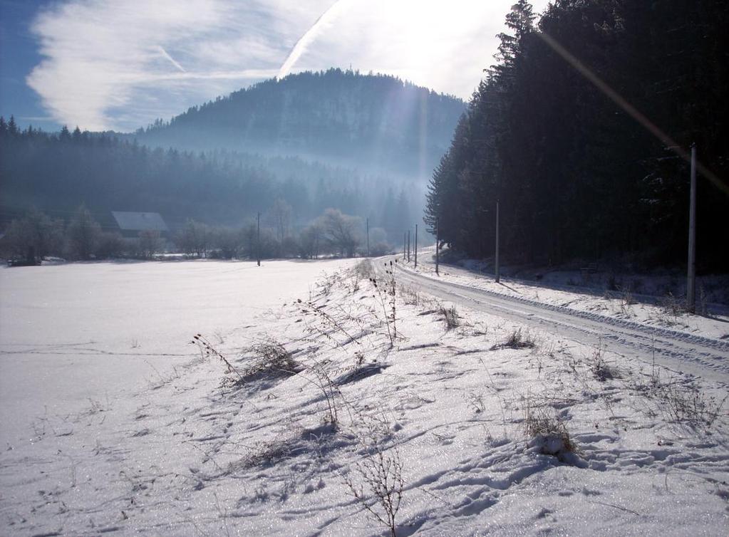 U planu je uređenje skijaške staze sa uspinjačom na pomenutom lokalitetu Medvjed Potok na udaljenosti od grada svega 5 km.