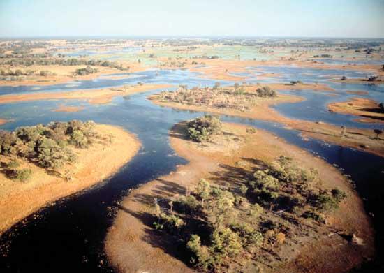 3. KONVENCIJA O MOČVARNIM PODRUČJIMA Convention on Wetlands of International Importance Especially as Waterfowl Habitat Do 2003. godine je Ramsarsku konvenciju ratificiralo 133 države.