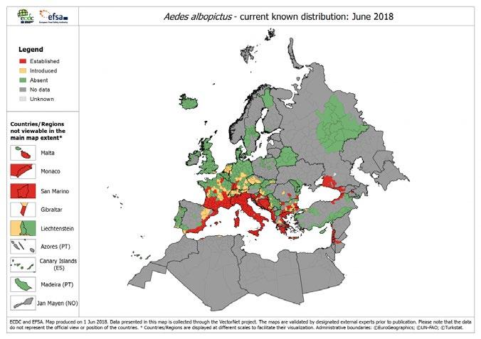 13 dio se azijskom tigrastom komarcu (Aedes albopictus) koji je sada bolji prenosilac mutiranog virusa od originalnog prenosioca (vrste Aedes aegypti).