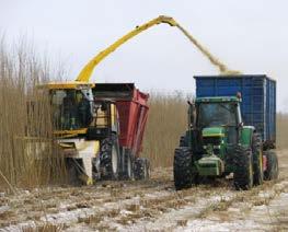 4.9. Unapređenje logistike bezbednog upravljanјa biomasom: sakupljanјe, transport i skladištenјe Prerada biomase (smanjenje zapremine i sadržaja vlage) u odgovarajući oblik (peleti, briketi i dr.