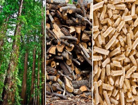 slame koristi složenija tehnologija, veći su i troškovi proizvodnje u odnosu na drvnu biomasu.